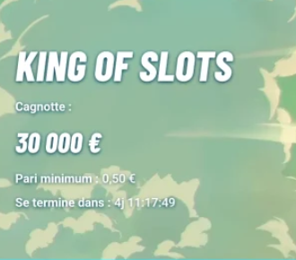 Interface des bonus Vegasino